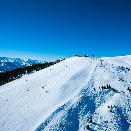 Areit One Family And Friends Apartment Zell am See Dış mekan fotoğraf